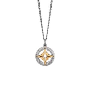 Halsband stål