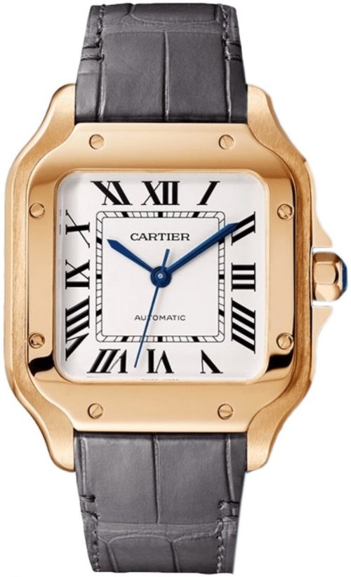 Cartier Santos De Cartier Herrklocka WGSA0028 Silverfärgad/Läder